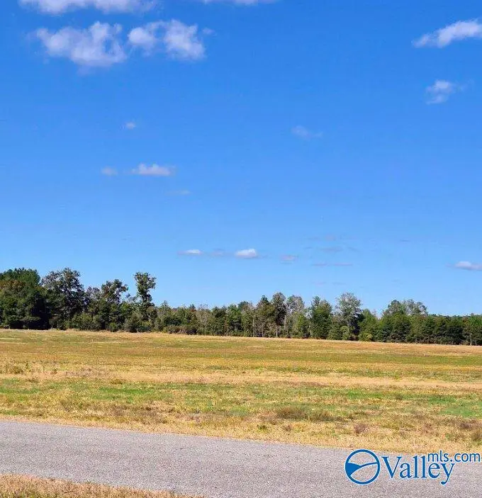 Tract 35 County Road 32, Centre, AL 35960 - Image #1
