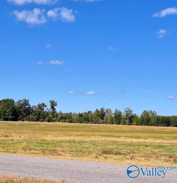 Tract 35 County Road 32, Centre, AL 35960