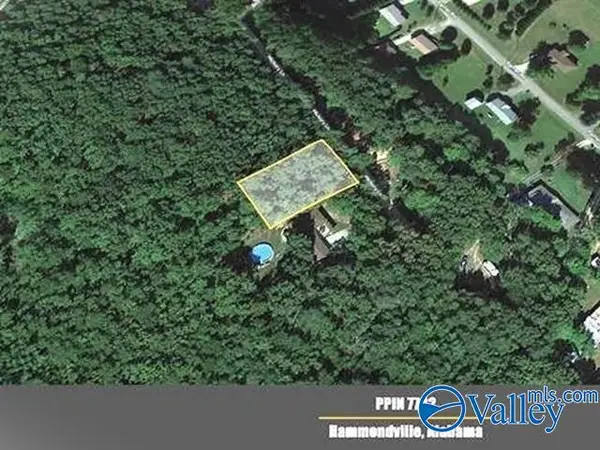 Lot 3 Hickory Lane, Valley Head, AL 35989