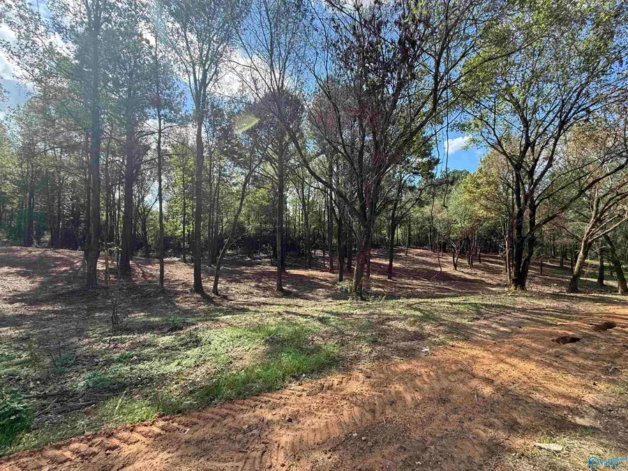 #1A County Road 1123, Vinemont, AL 35179 - Image #2