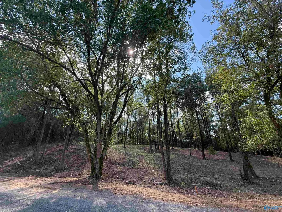 #12A County Road 1123, Vinemont, AL 35179 - Image #2