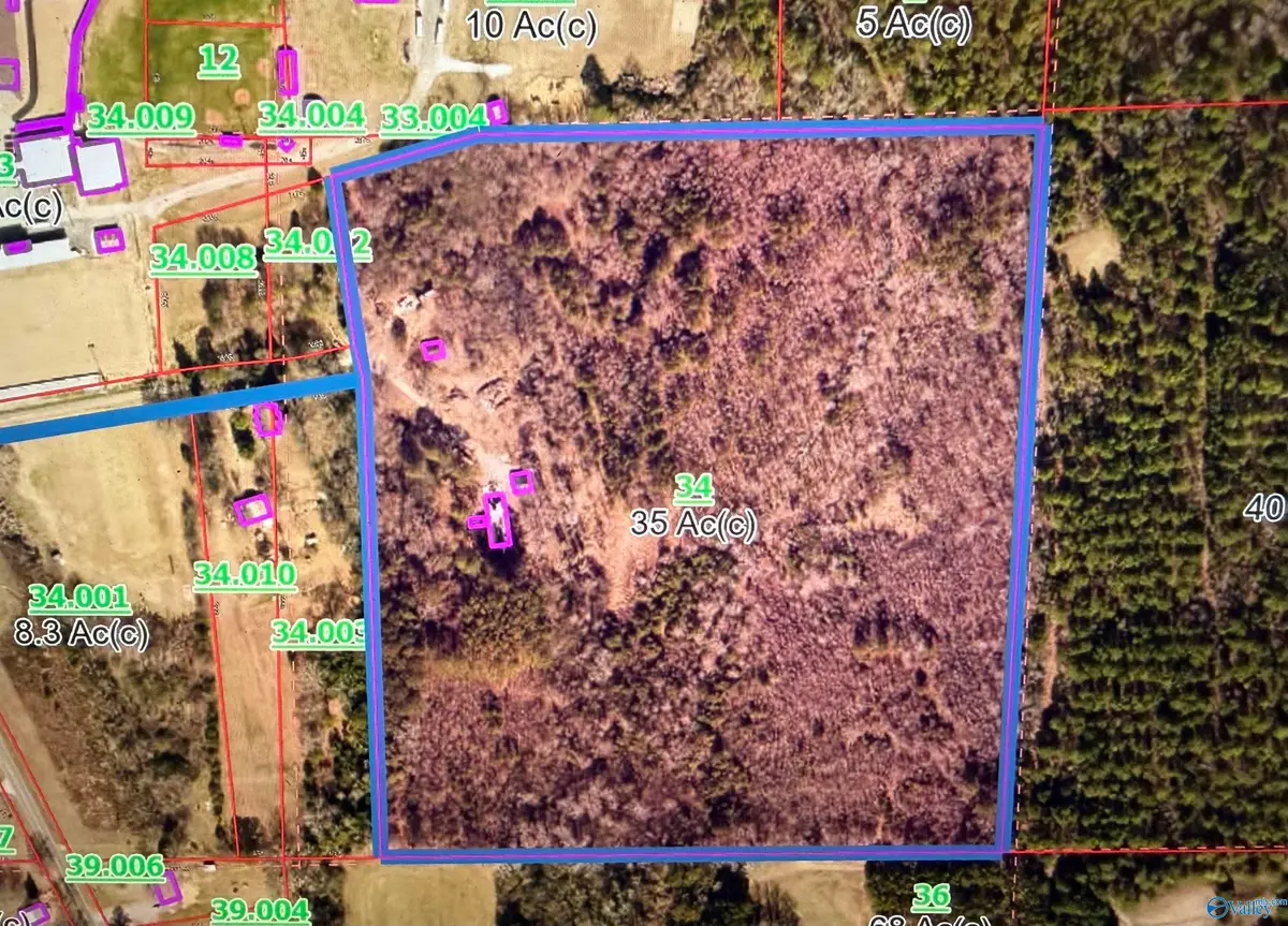 250 Wildcat Woods, Sand Rock, AL 35983 - Image #1