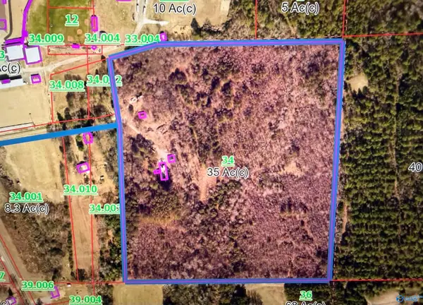 250 Wildcat Woods, Sand Rock, AL 35983