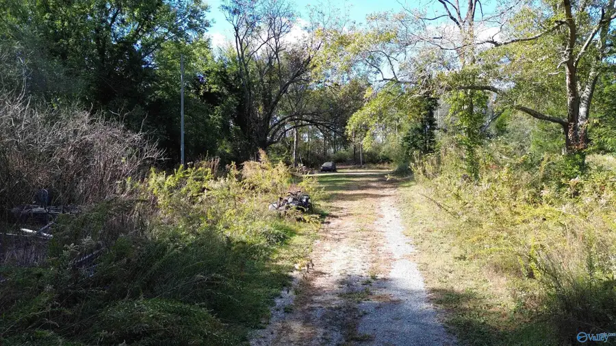 250 Wildcat Woods, Sand Rock, AL 35983 - Image #2