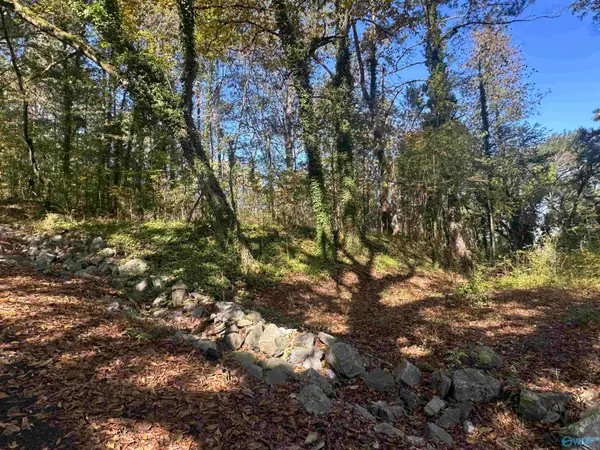 Lot 4 Smith Street, Guntersville, AL 35976