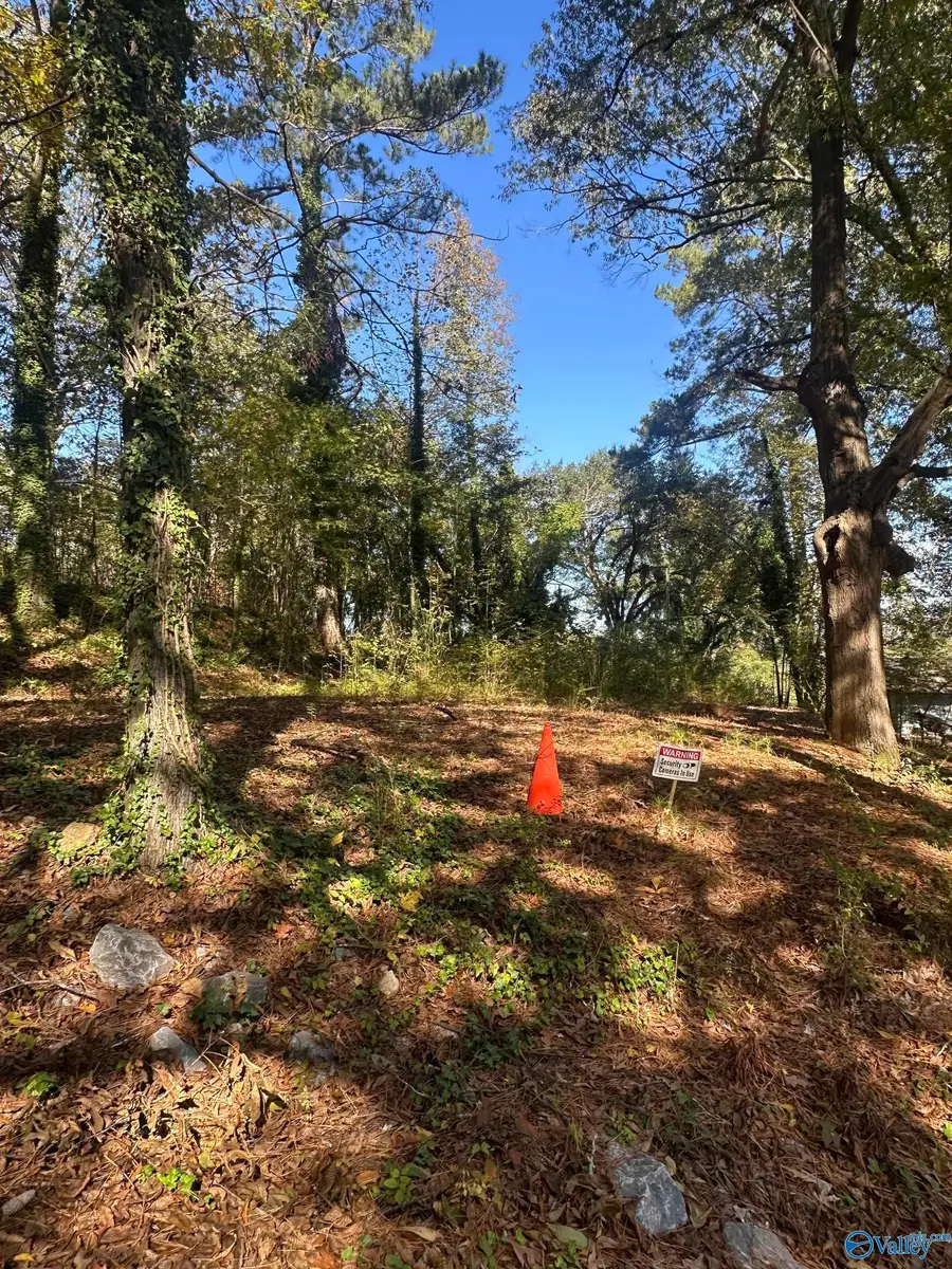 Lot 4 Smith Street, Guntersville, AL 35976 - Image #3