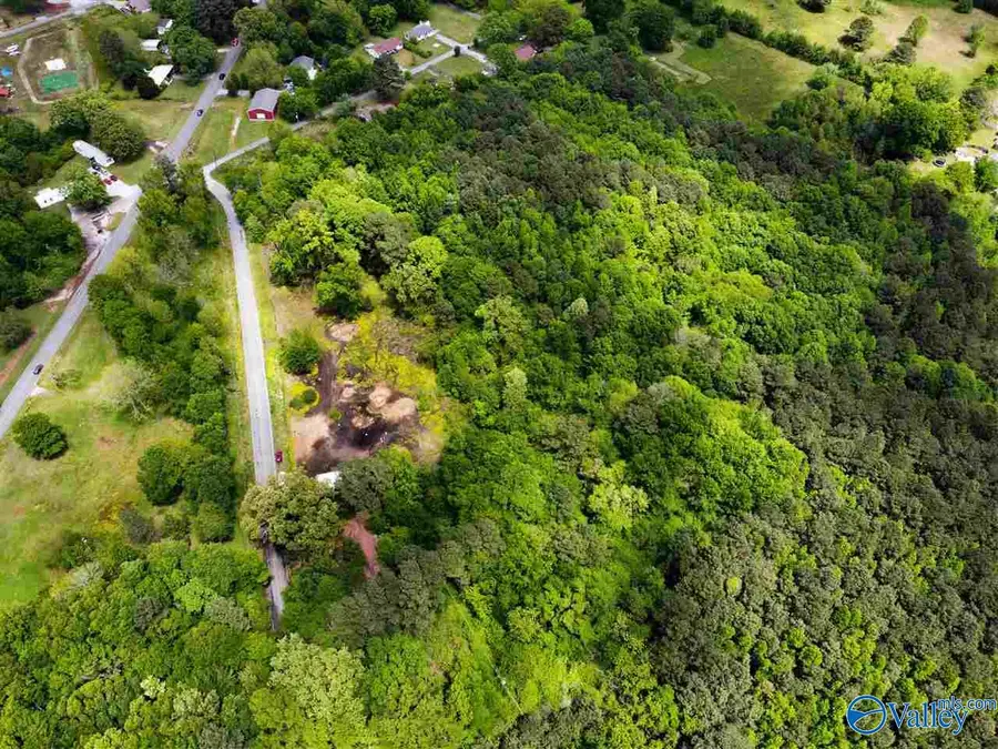2013 Moulton Heights Road, Decatur, AL 35601 - Image #3