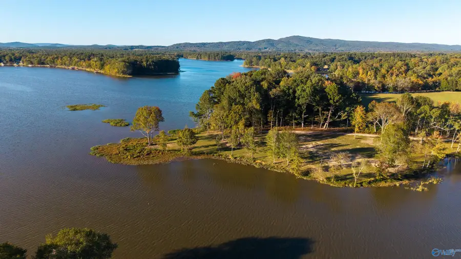 Lot 27 County Road 115, Cedar Bluff, AL 35959 - Image #3