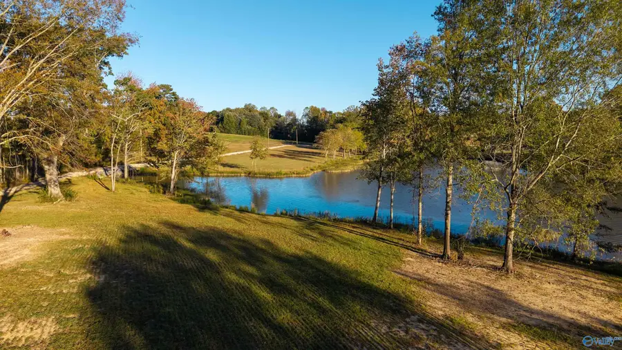 Lot 47 County Road 115, Cedar Bluff, AL 35959 - Image #2