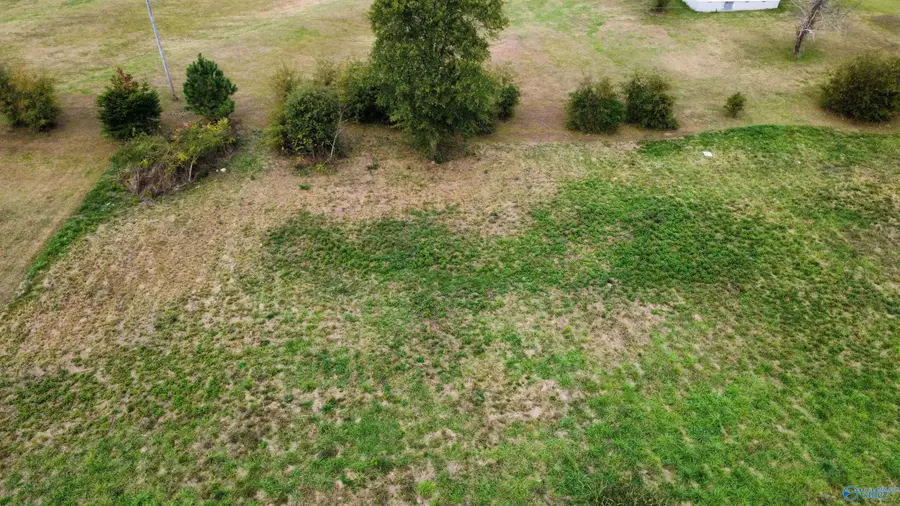 55 Edgewood Street, Rainsville, AL 35986 - Image #2