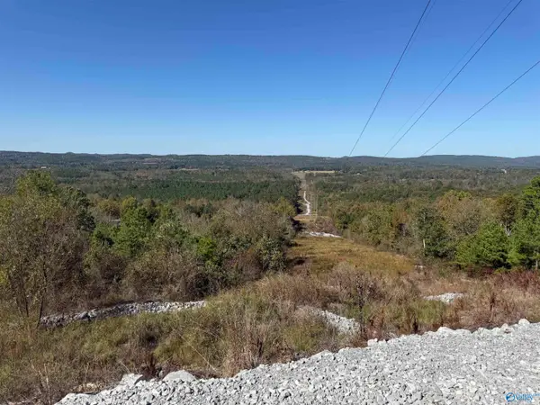 116 ACRES Lay Springs Road, Gadsden, AL 35904