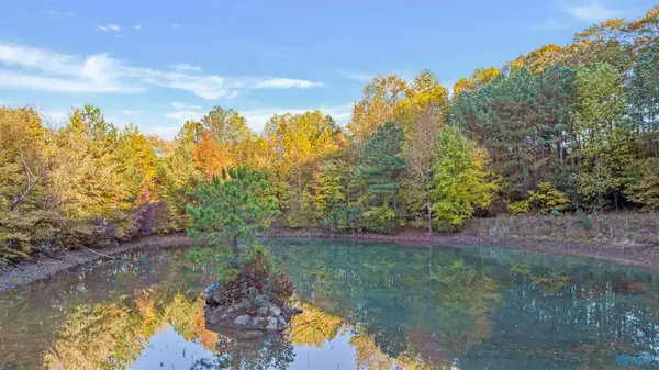 10.57 acres County Road 166, Fort Payne, AL 35967