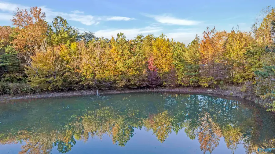 10.57 acres County Road 166, Fort Payne, AL 35967 - Image #2