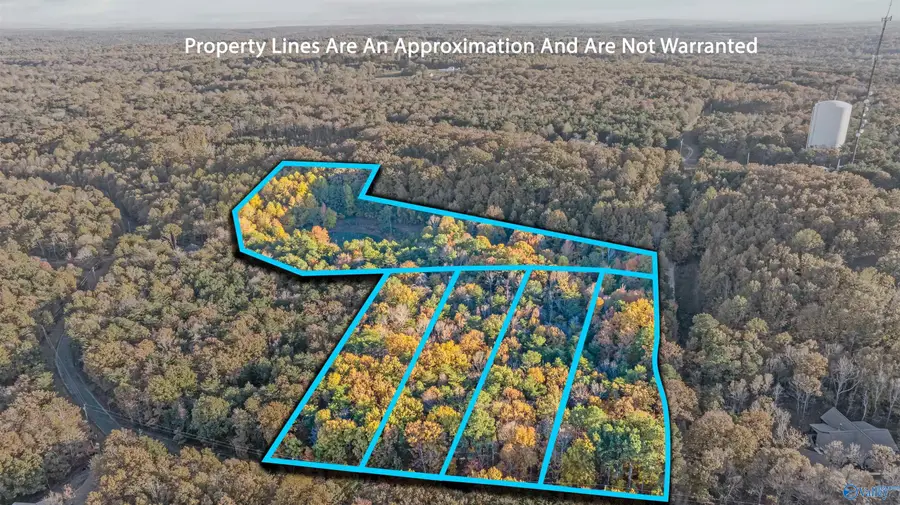 10.57 acres County Road 166, Fort Payne, AL 35967 - Image #3