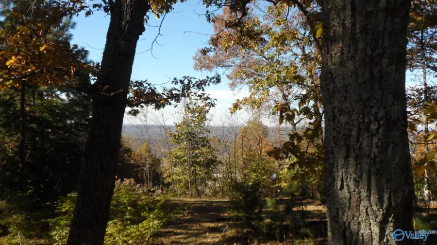 2612 Aberdeen Lane Ne, Fort Payne, AL 35967 - Image #2