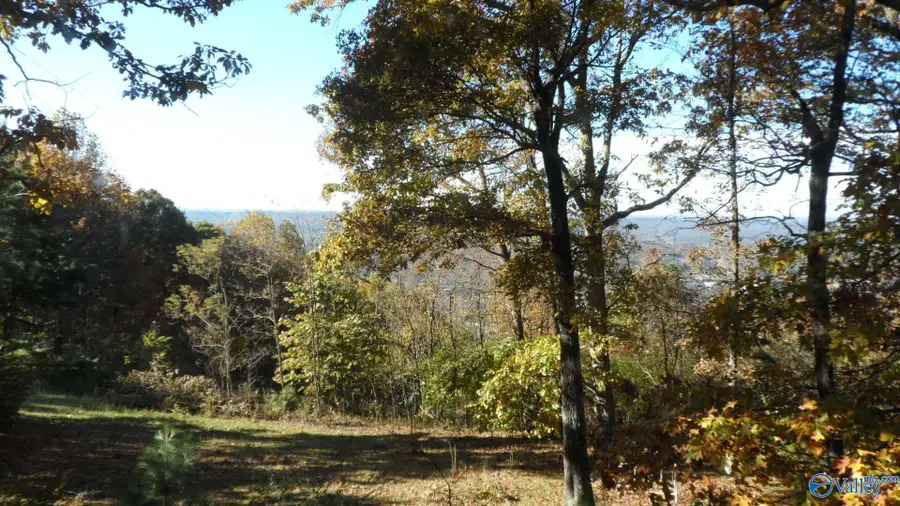 2612 Aberdeen Lane Ne, Fort Payne, AL 35967 - Image #3