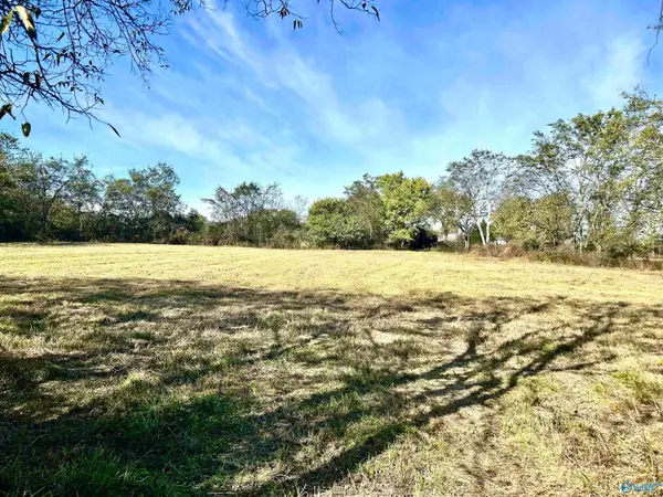 17.25 W Hwy 11, Pulaski, TN 38478