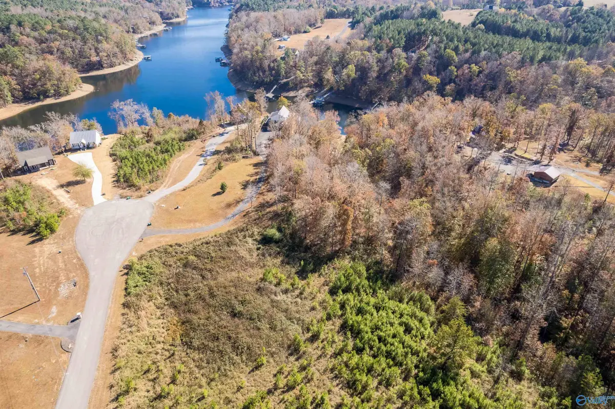 Lot 7 County Road 373, Crane Hill, AL 35053 - Image #1
