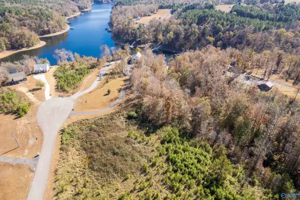 Lot 7 County Road 373, Crane Hill, AL 35053