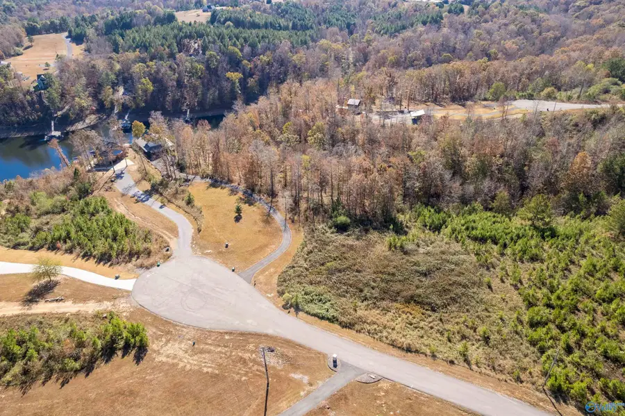 Lot 7 County Road 373, Crane Hill, AL 35053 - Image #2
