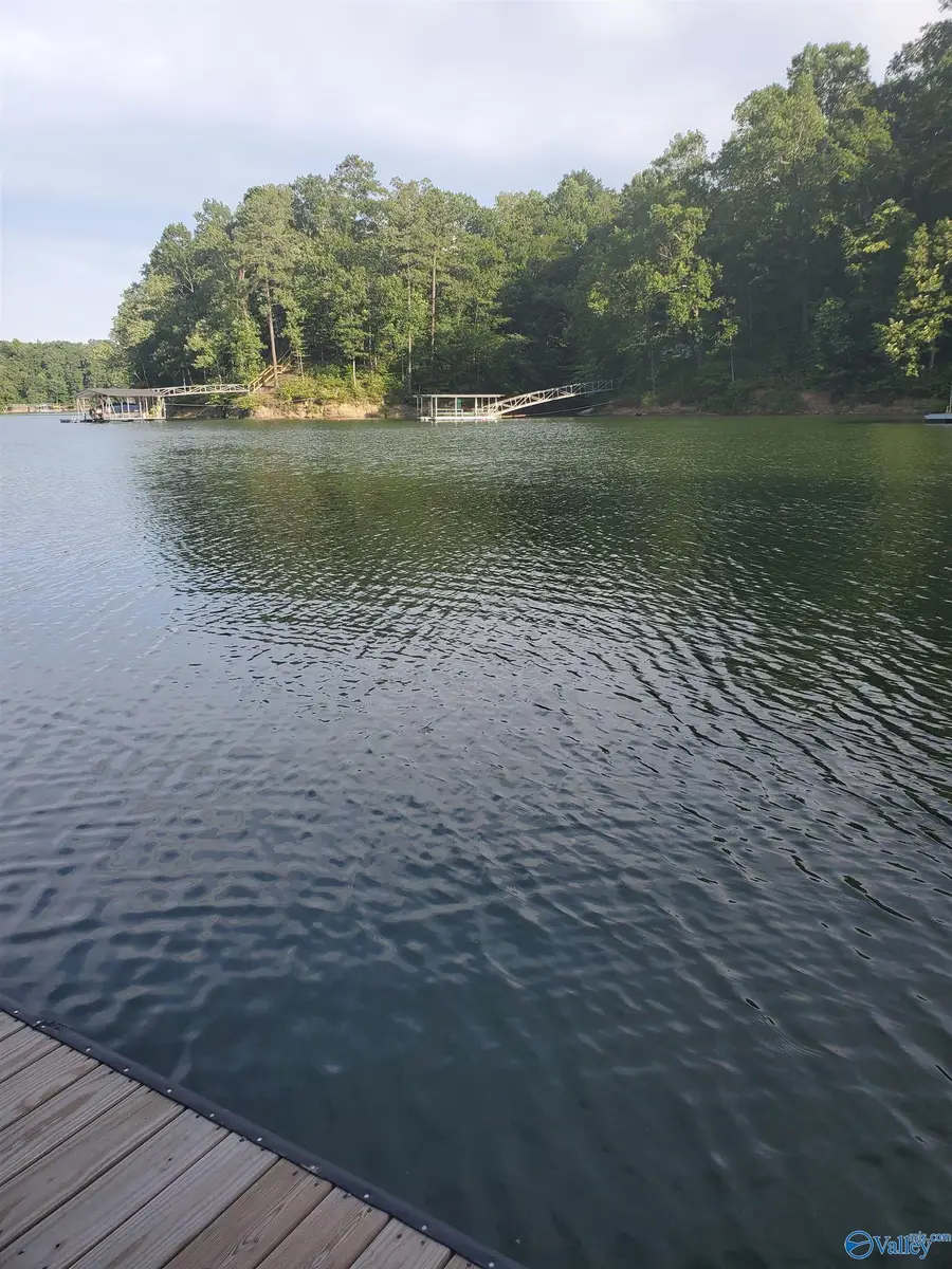 Lot 7 County Road 373, Crane Hill, AL 35053 - Image #3