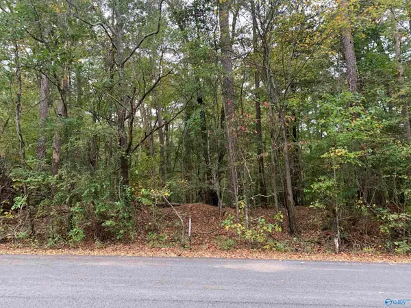 0.69 Beech Hollow Lane, Southside, AL 35907