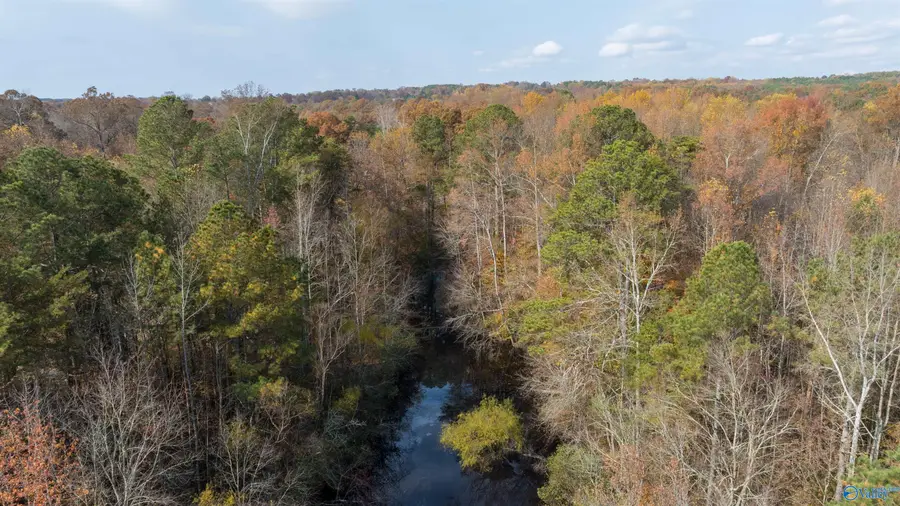 6.7+/-acres County Road 85, Fort Payne, AL 35968 - Image #3