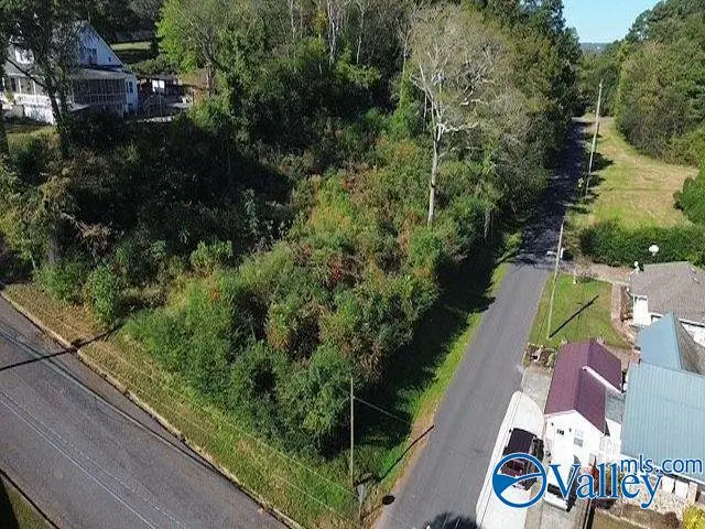 2195 Taylor Street, Guntersville, AL 35976 - Image #2