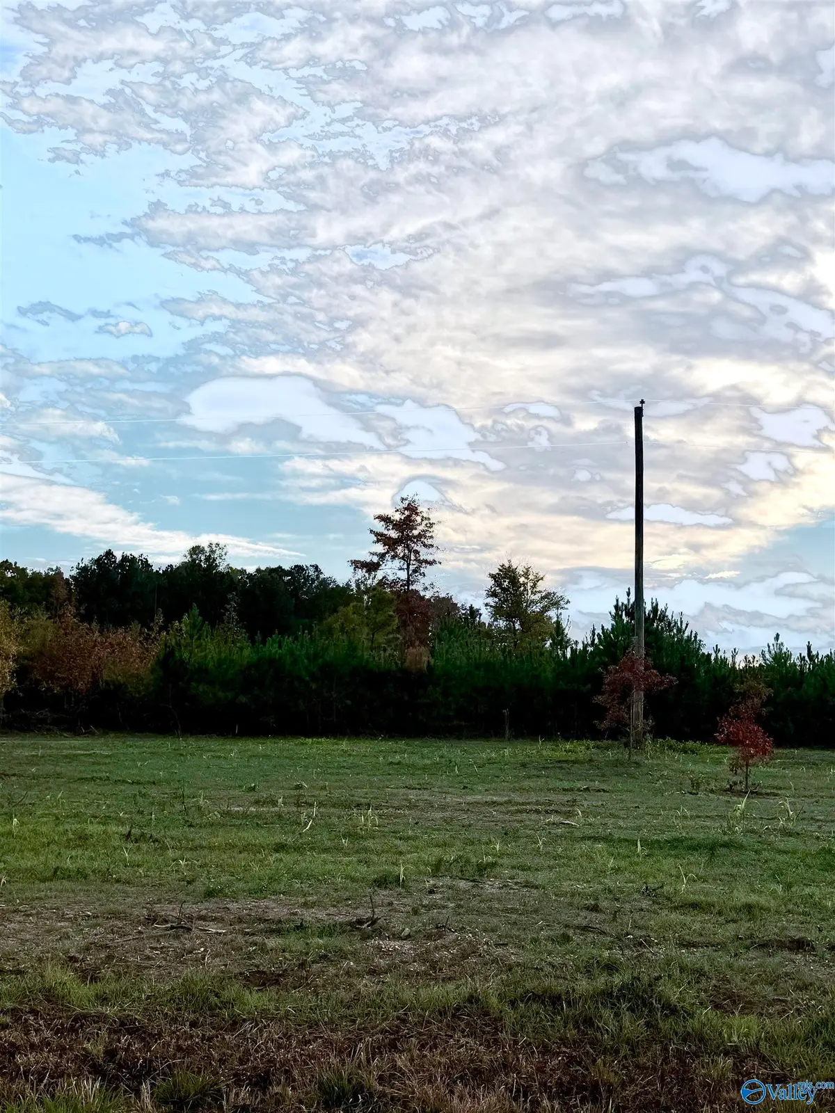 Lot 6 County Road 39, Piedmont, AL 36272 - Image #1