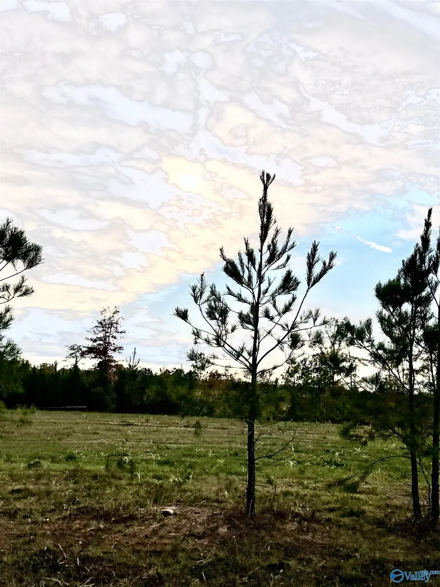 Lot 6 County Road 39, Piedmont, AL 36272 - Image #2