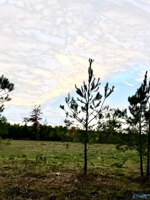 Lot 11 County Road 39, Piedmont, AL 36272