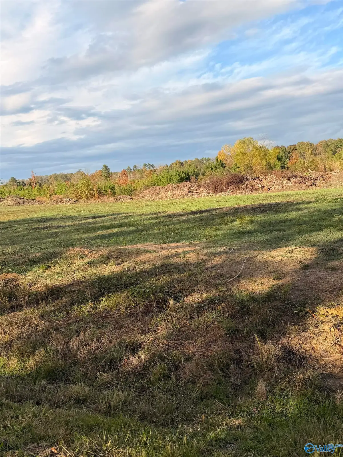 Lot 13 County Road 39, Piedmont, AL 36272 - Image #1