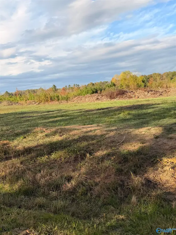 Lot 13 County Road 39, Piedmont, AL 36272