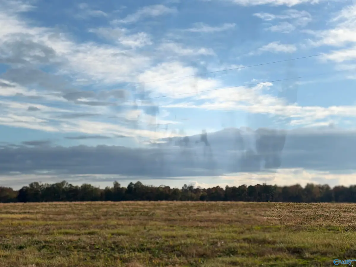 Lot 25 County Road 32, Piedmont, AL 36272 - Image #1