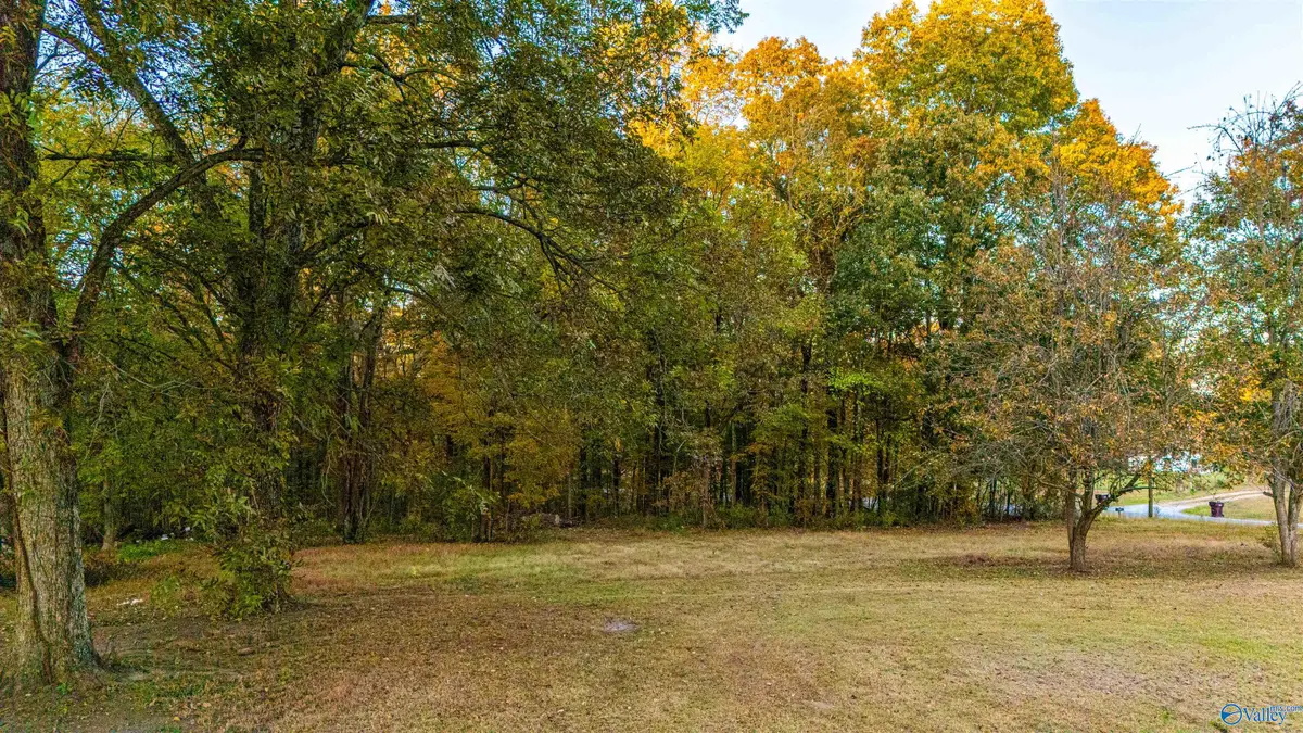 29661 Persimmon Tree Road, Anderson, AL 35610 - Image #1