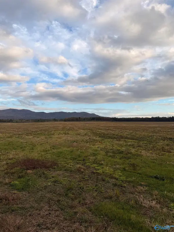 Lot 63 County Road 32, Piedmont, AL 36272