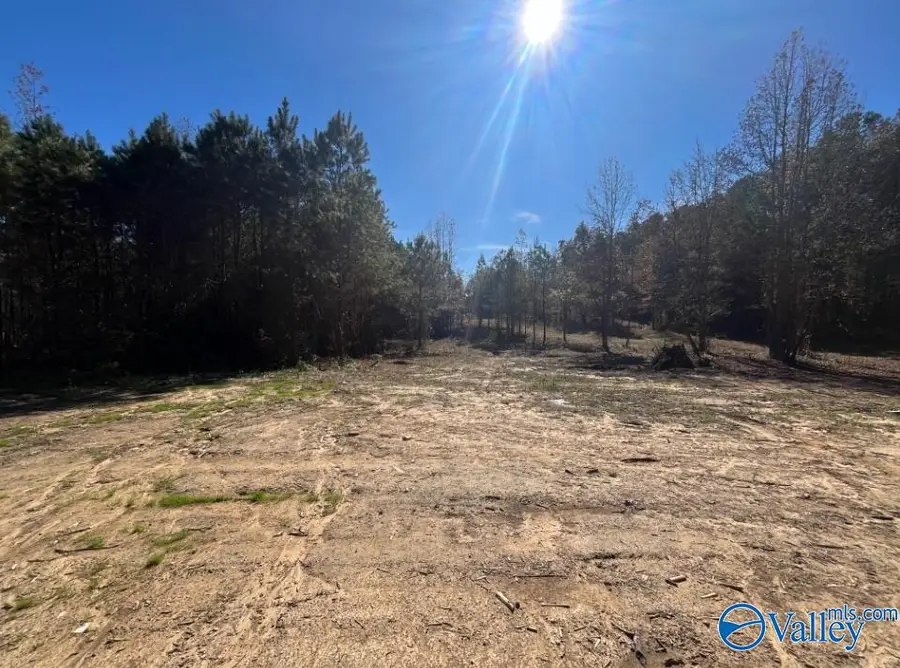 2 ACRES Old Union Road, Grant, AL 35747 - Image #2