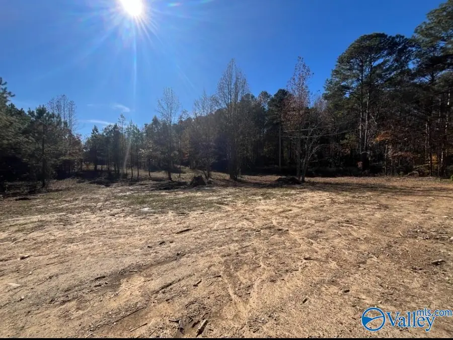 2 ACRES Old Union Road, Grant, AL 35747 - Image #3