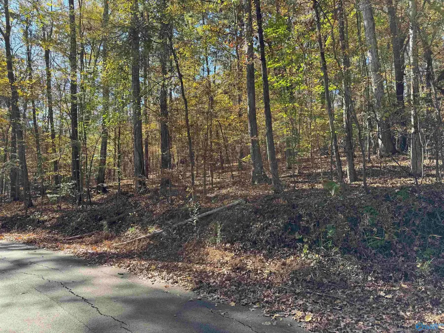 3817 SW Fall Bluff Drive Sw, Decatur, AL 35603 - Image #3