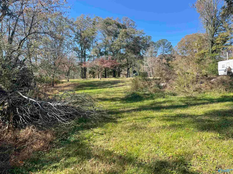 354 Word Mountain Road, Grant, AL 35747 - Image #3