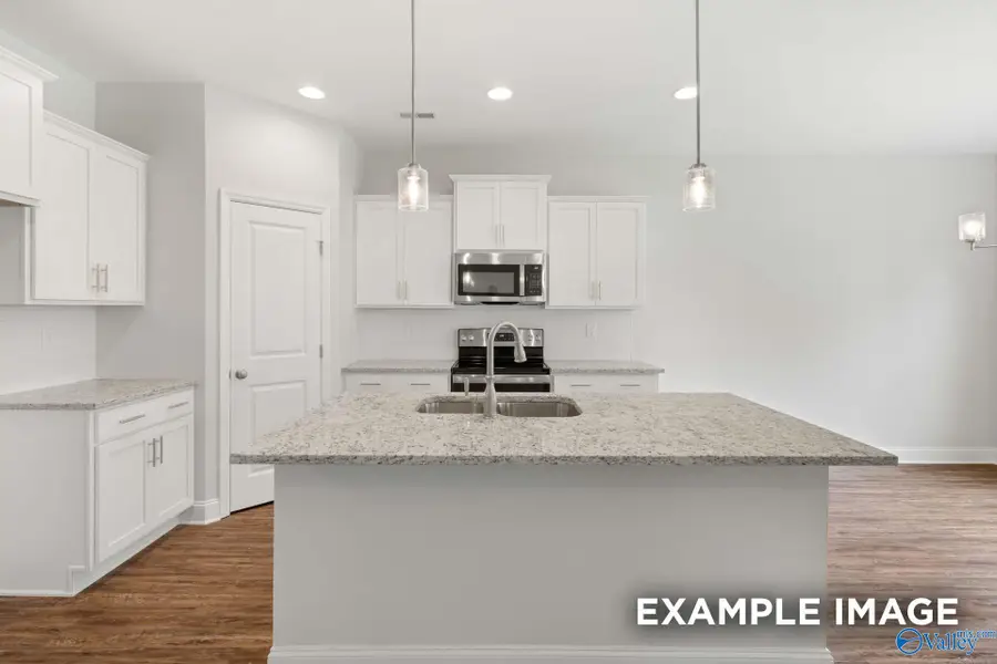 102 Drupelet Lane, Meridianville, AL 35759 - Image #3