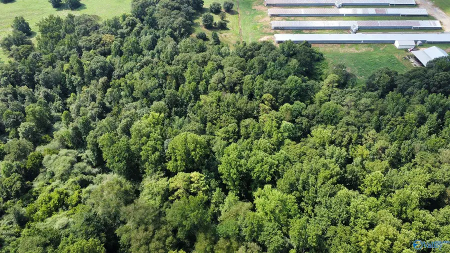 6 Acres New Friendship Road, Arab, AL 35016 - Image #3