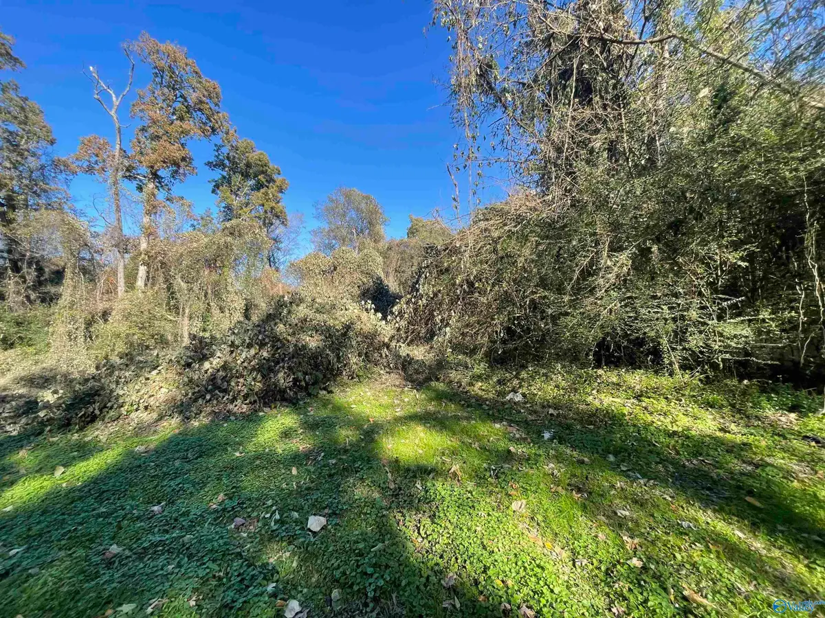 10 Wood Avenue, Sheffield, AL 35660 - Image #1