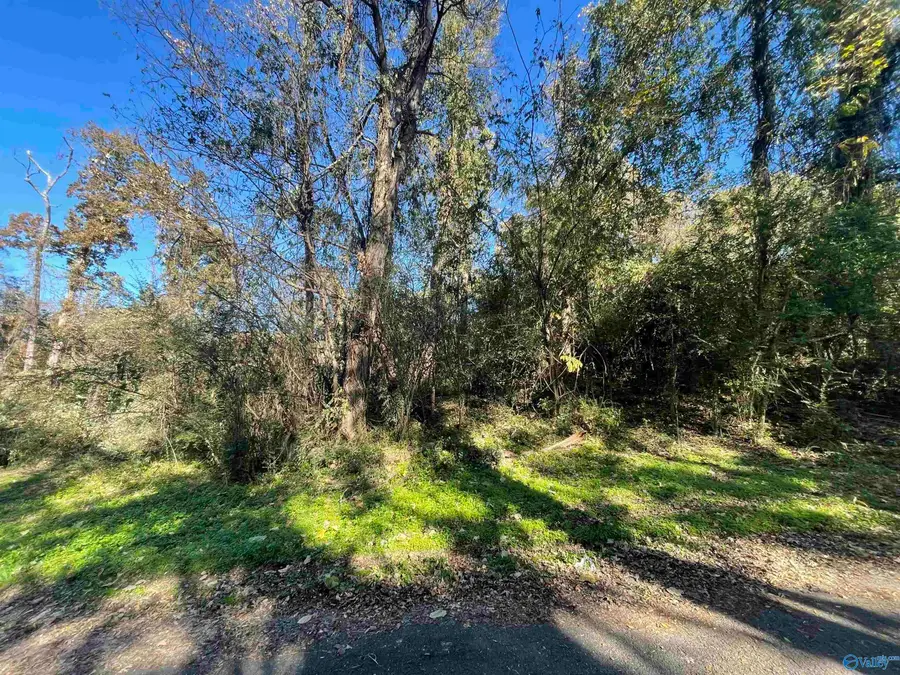 10 Wood Avenue, Sheffield, AL 35660 - Image #2