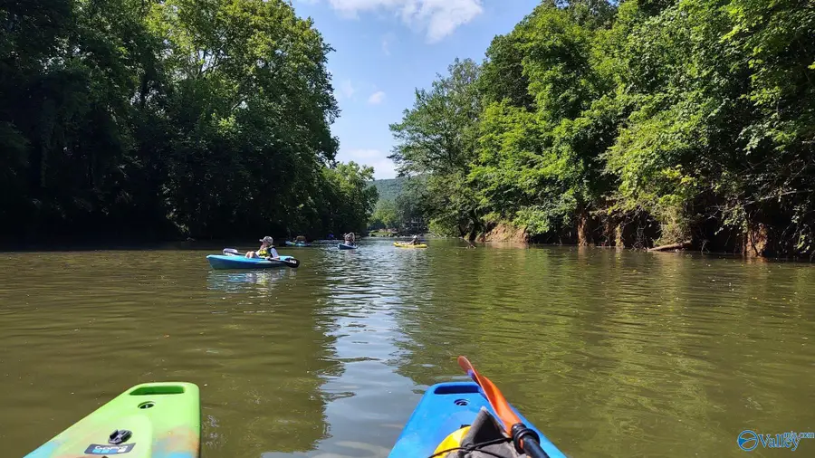 114 Canonbury Drive, New Market, AL 35761 - Image #2