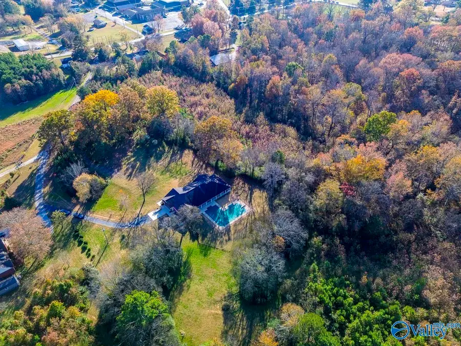 15161 Boocille Lane, Harvest, AL 35749 - Image #3