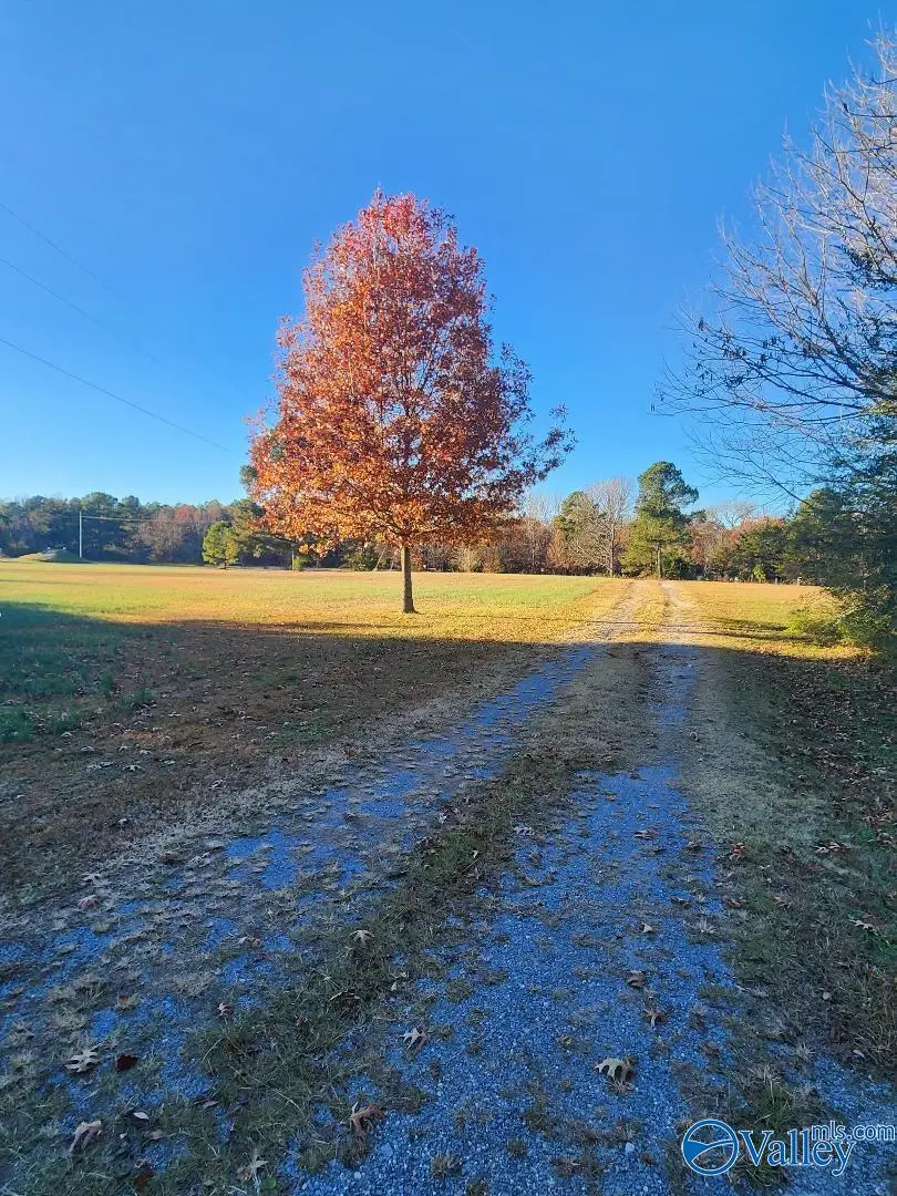 2121 County Road 79, Fort Payne, AL 35967 - Image #2