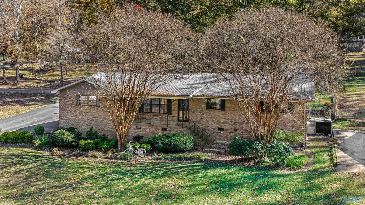 3717 Clark Avenue Ne, Fort Payne, AL 35967 - Image #1