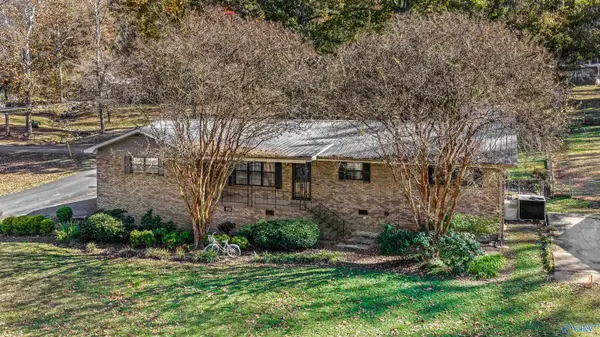 3717 Clark Avenue Ne, Fort Payne, AL 35967