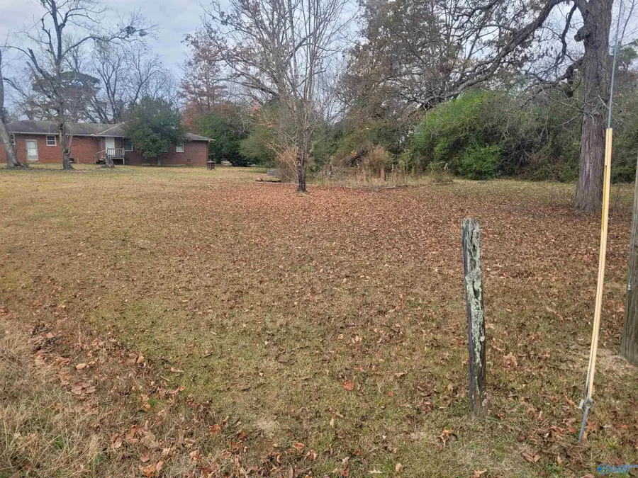 Lot 0 College Avenue, New Hope, AL 35760 - Image #3